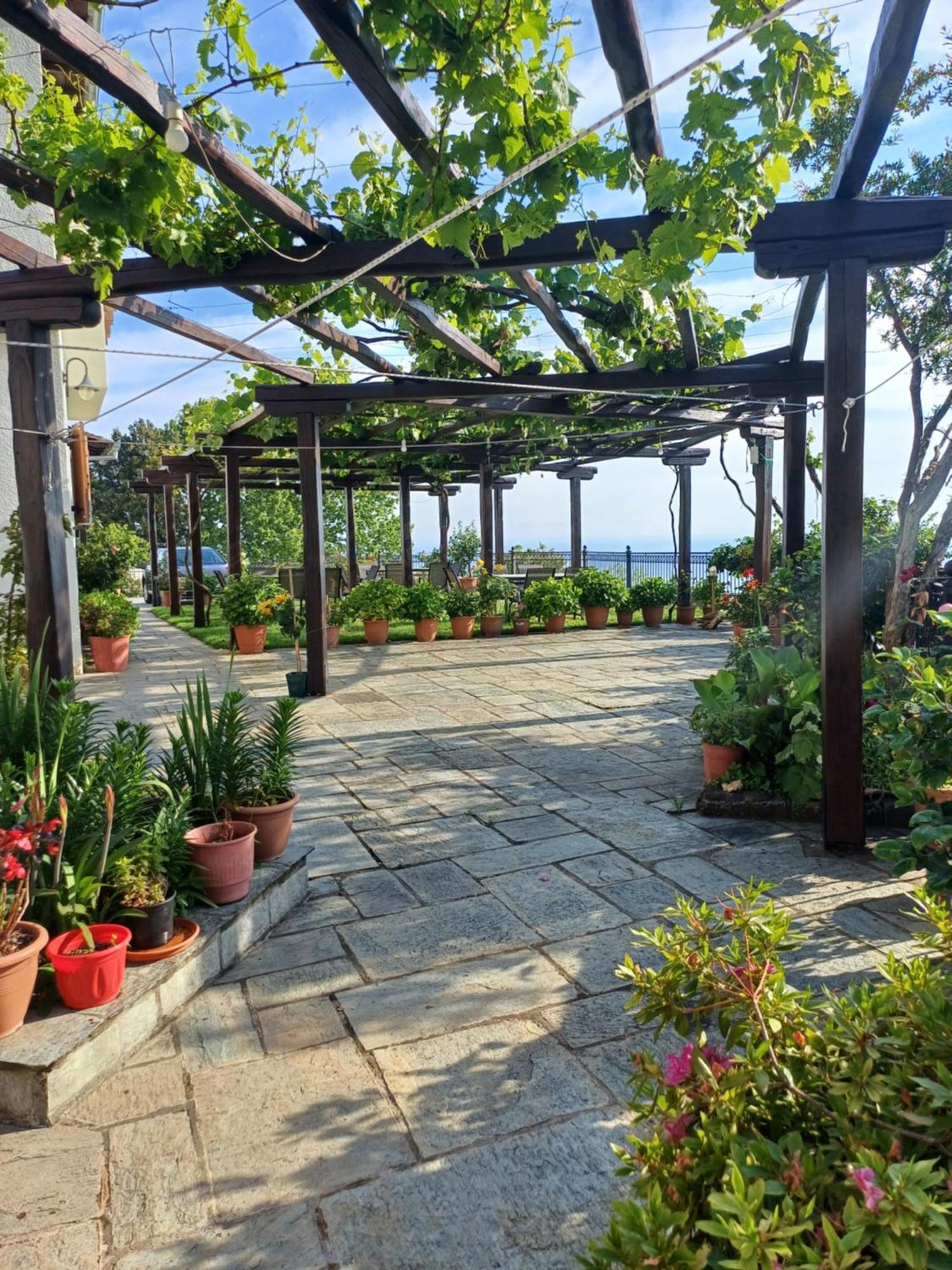 Olga Studios Tsagarada Exterior photo
